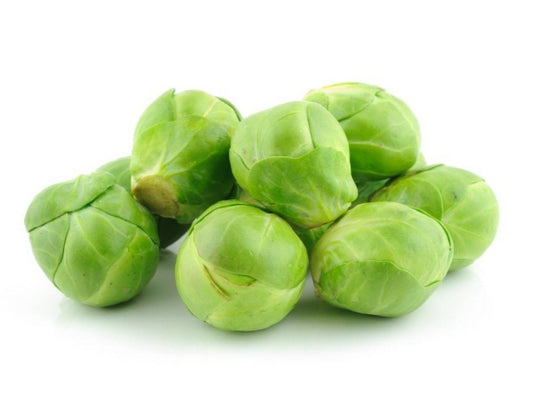 SPROUTS 9KG NET