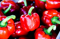 PEPPERS - BOX 5KG