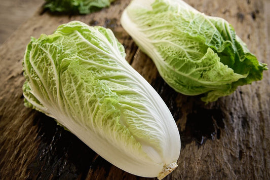 CABBAGE CHINESE