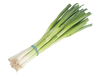 SPRING ONIONS BUNCH